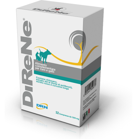 DiReNe, 32 tabletter, 1st frpackning