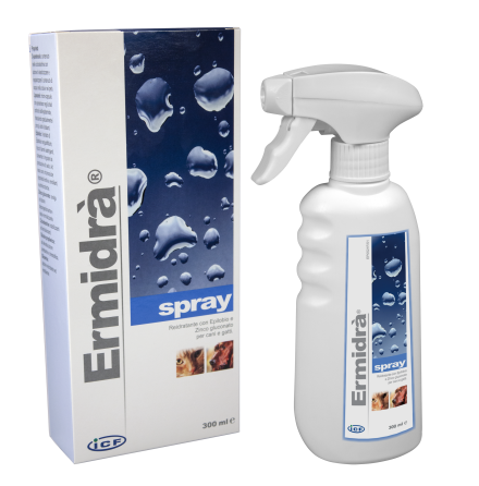 Ermidr Spray, 300ml, 1st Sprayflaska