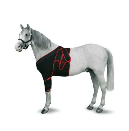 KRUUSE Equine Frontal Bandaging,  L