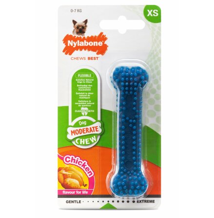 Nylabone Moderate Dental Chew, XS, NX933PEU