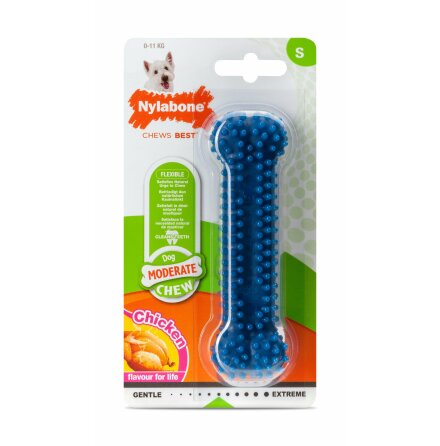 Nylabone Moderate Dental Chew, S, NX934PEU