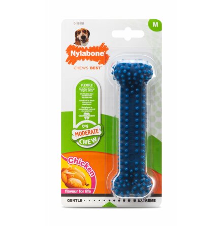 Nylabone Moderate Dental Chew, M, NX935PEU