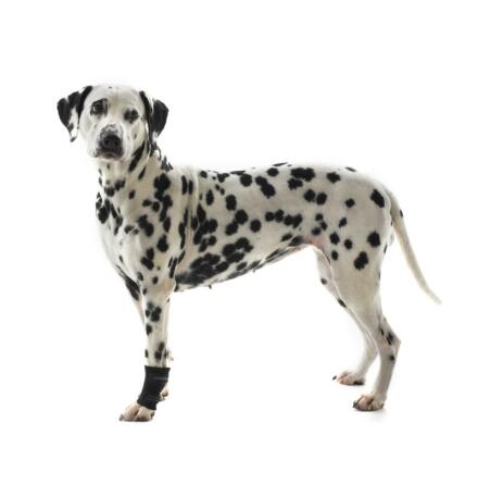 KRUUSE Rehab Karpalledsskydd, XXS, 1 st