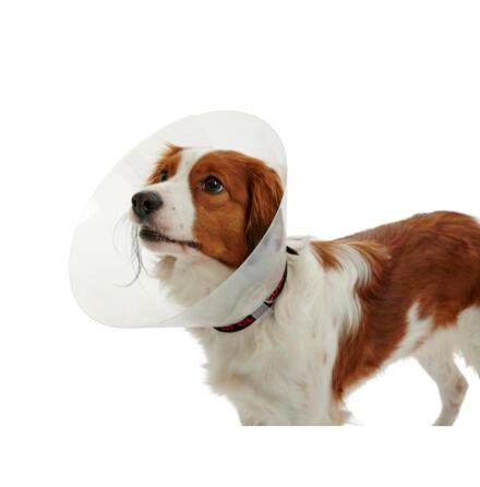 BUSTER Classic Hundkrage, transparent, 20 cm, 50 st