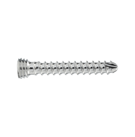 1.5MM LOCKING STAR DRIVE SCREW 10MM LONG