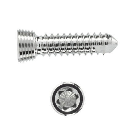 2.4MM LOCKING STAR DRIVE SCREW 12MM
