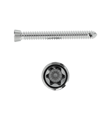 2.4MM LOCKING STAR DRIVE SCREW 22MM