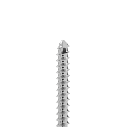 2.4MM SELF TAPPING CORTICAL SCREW 20MM