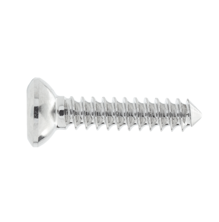 2MM CORTICAL SCREW 10MM