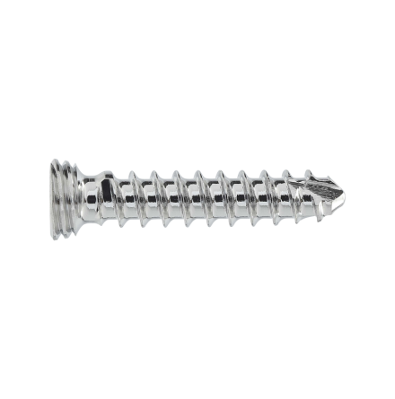 2MM LOCKING STAR DRIVE SCREW 10MM
