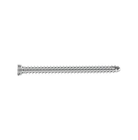2MM LOCKING STAR DRIVE SCREW 24MM