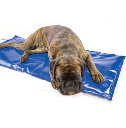 Vrmedyna Animat Carbon Tech 24V 1100x500