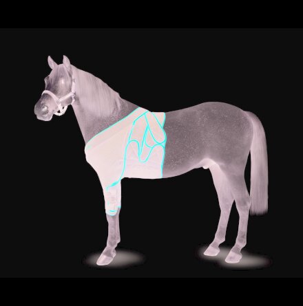 KRUUSE Equine Frontal Bandaging, S