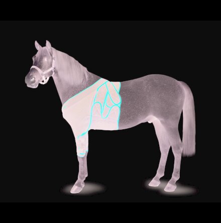 KRUUSE Equine Frontal Bandaging, M
