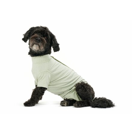 BUSTER Body Suit Stepn Go For Dogs, XS-XL, Dusty Green